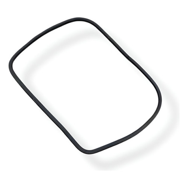 Borracha Vidro Vedação Traseria Esquerda Renault Kangoo 2004 - Preto