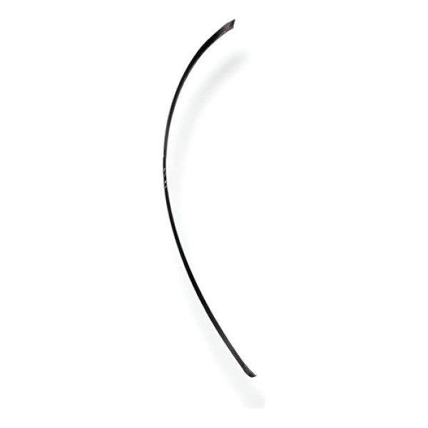 Friso Janela  Dianteiro Esquerdo Renault Scenic 2005 2006 - Preto