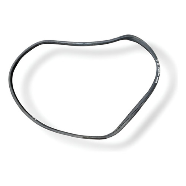 Borracha Porta Traseira Direita Fiat Punto 2008 2009 2010