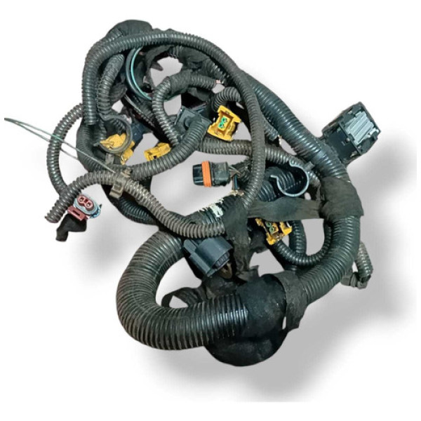 Chicote Porta Dianteira Direita Ford Focus 2003 51827325