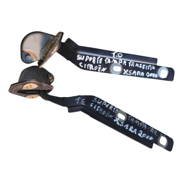 Par Dobradiças Tampa Traseira Citroen Xsara 2000 20001 