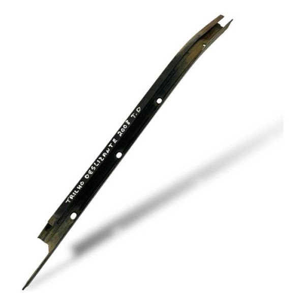 Acabamento Trilho Porta Traseira Direita Fiat Doblo 02/18