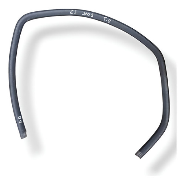 Borracha Porta Traseira Direita Citroën C5 2004/2005/2006 Preto