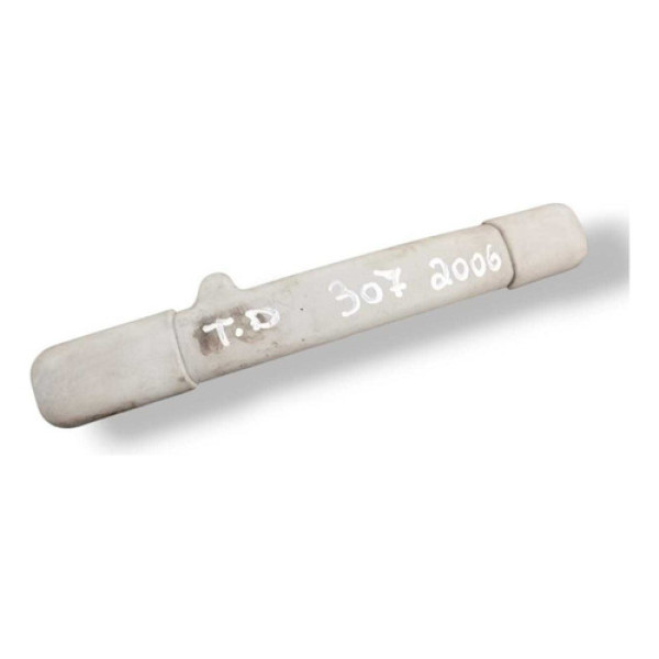 Alça Teto Pqp Traseira Direita Peugeot 307 2003 2004 A 2009 Branco