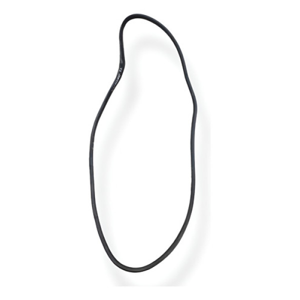 Borracha Porta Traseiro Esquerdo  Renault Sandero 2021 2022 - Cinza