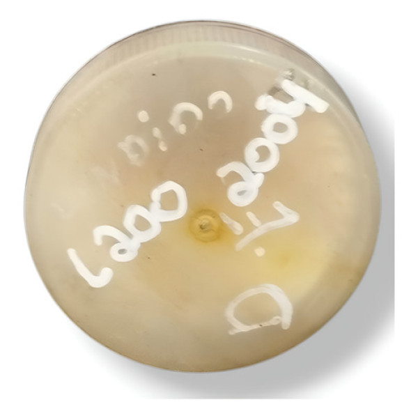 Farol Milha Dianteiro Esquerdo Mitsubishi L200 2004 2005 Branco