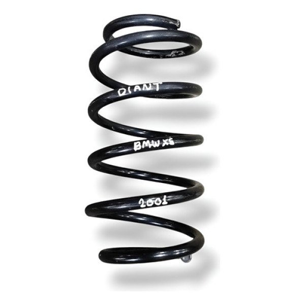 Mola Suspensão Dianteira  Bmw X5 2001 2002 2003 2004 2005