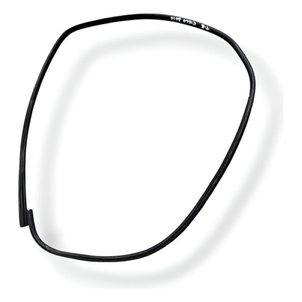 Borracha Porta Traseira Esquerda Chery Cielo 2010 2011 2012