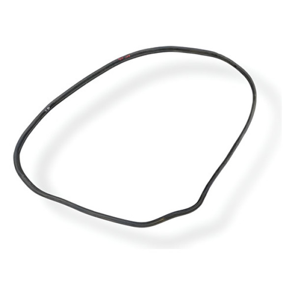 Borracha Porta Traseira Direita Peugeot 307 2008 2009  2010 Preto