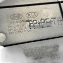 Forro Porta Dianteira Esquerda Hyundai Azera 2009 823303l010