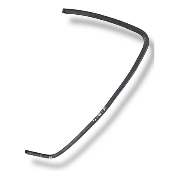 Borracha Porta Canaleta Traseira Esquerda Citroën C5 2005