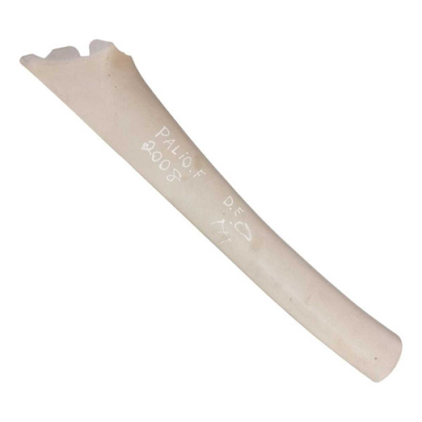 Acabamento Coluna Parabrisa Esquerdo Fiat Palio 08 714257000