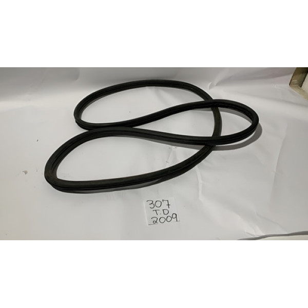  Borracha Porta Traseira Direita Peugeot  307 2010