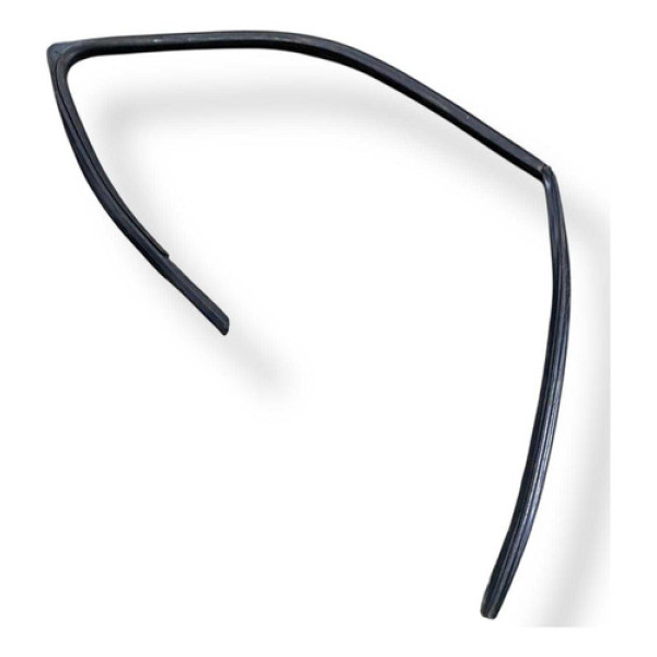 Borracha Guia Vidro Porta Dianteira Esquerda Clio 2006 Preto