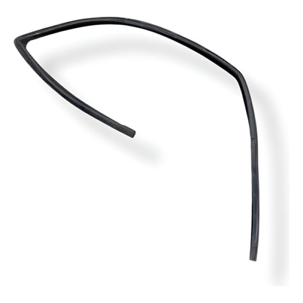 Borracha Canaleta Diant Esquerda Fiat Palio Weekend 2008