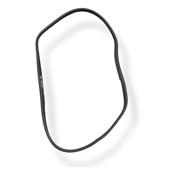 Borracha Porta Dianteira Direita Renault Sandero 2021 2022 Cinza