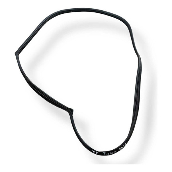 Borracha Porta Traseira Esquerda Hyundai  Tucson 2007 2011 Preto