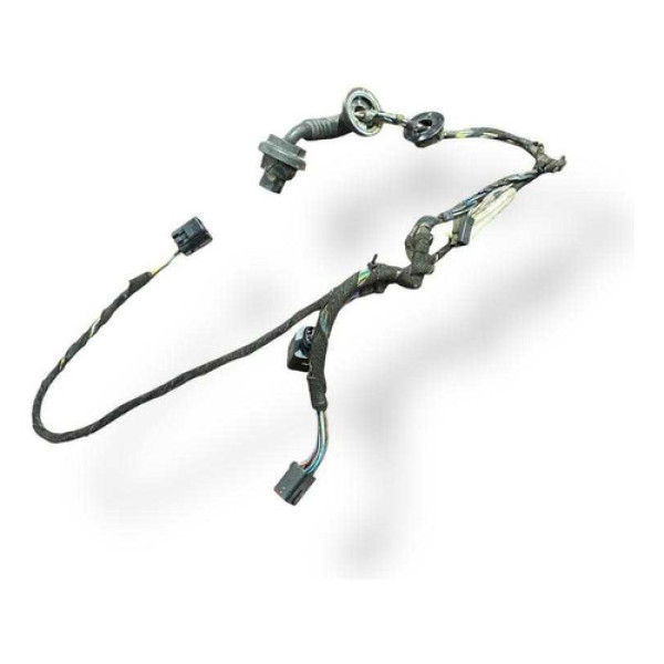 Chicote Porta Traseira Esquerda Ford Ecosport 2s6514a584