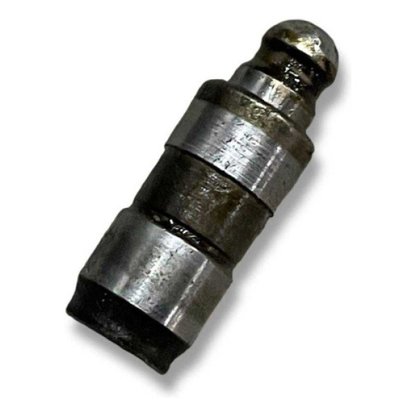 Tucho Hidraulico Volkswagen Gol G4 G5 1.0 2009 Unidade 